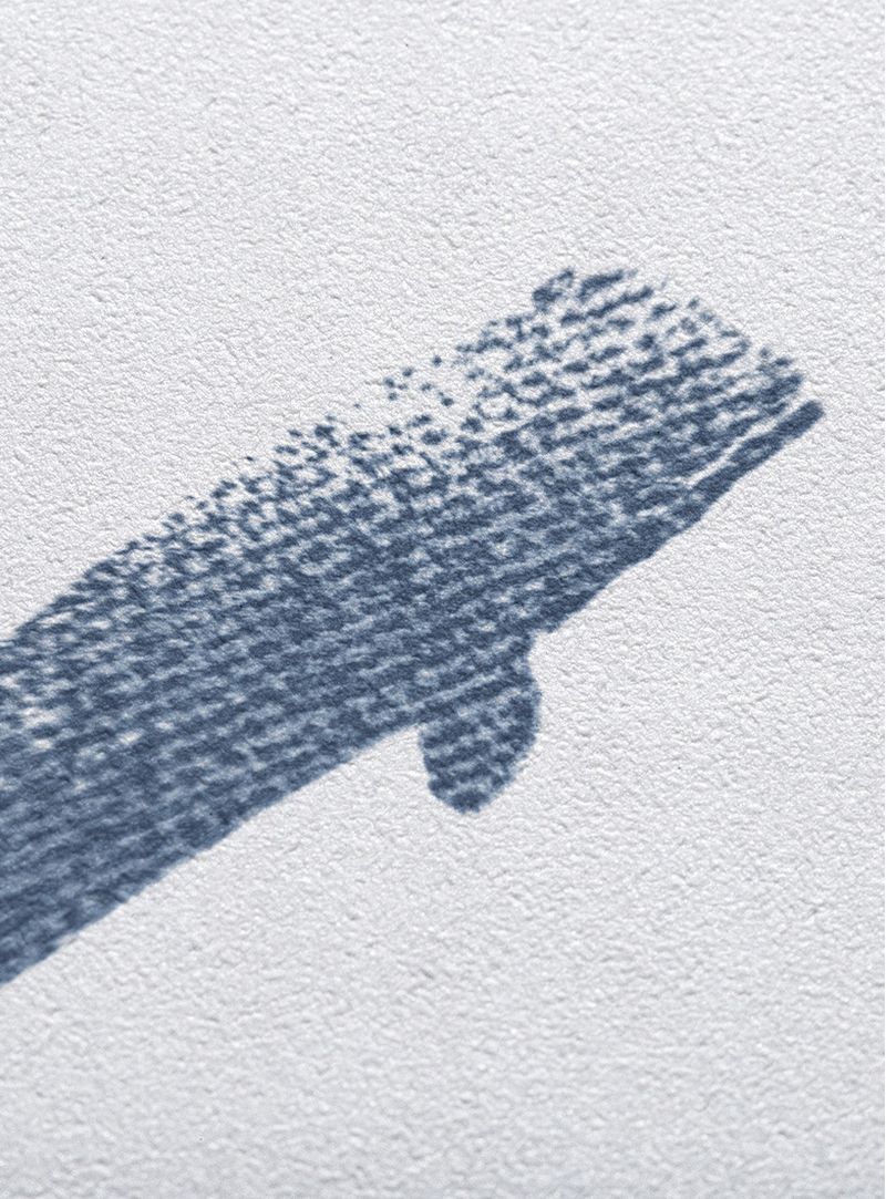 Papel-de-parede-baleia-azul