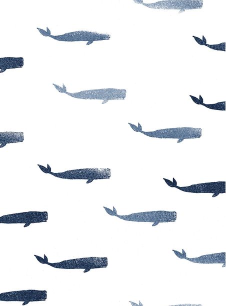 Papel de parede baleia azul