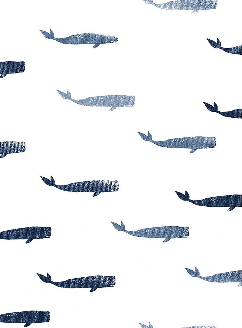 Papel-de-parede-baleia-azul