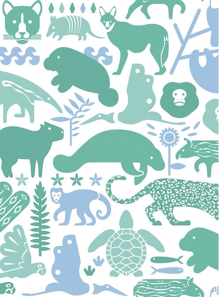 Papel de parede bichos do brasil i azul e verde suave