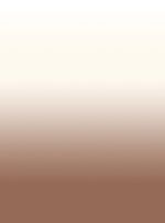 Papel-de-parede-degrade-marrom-109