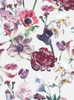 Papel-de-parede-flora-vi-fundo-cinza