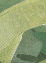 Papel-de-parede-folhagens-verde