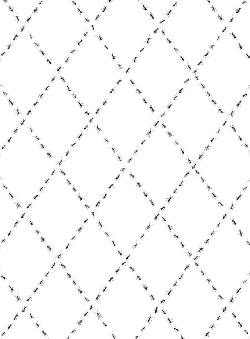 Papel-de-parede-formigas-losango-branco-e-preto