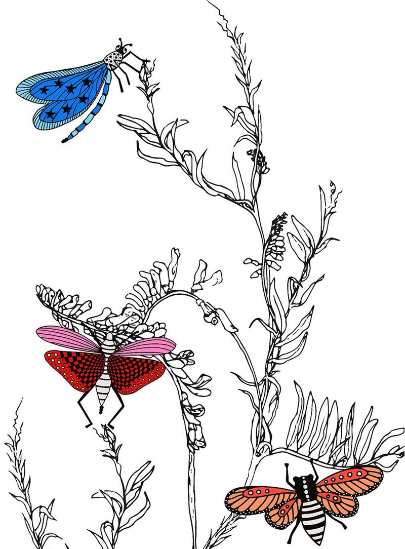 Papel-de-parede-insetos-e-folhas-fundo-branco