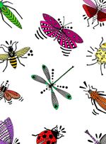 Papel-de-parede-insetos-coloridos-fundo-branco