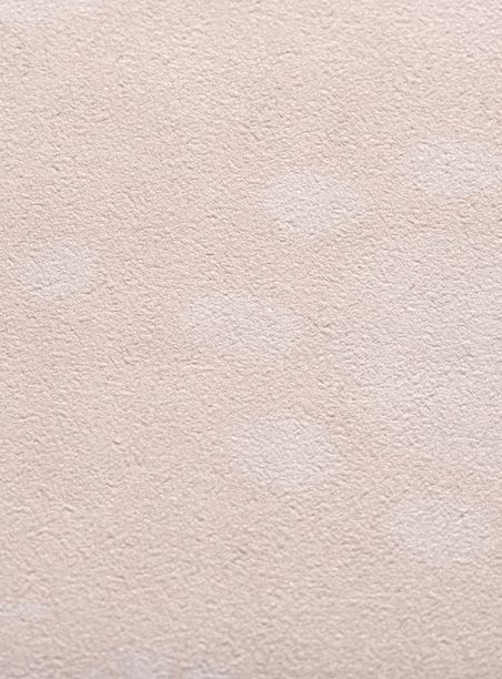 Papel de parede jardim de estrelas pêssego