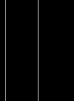Papel-de-parede-linhas-verticais-ii-branco-e-preto