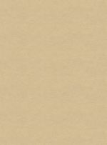 Papel-de-parede-linho-bege-732