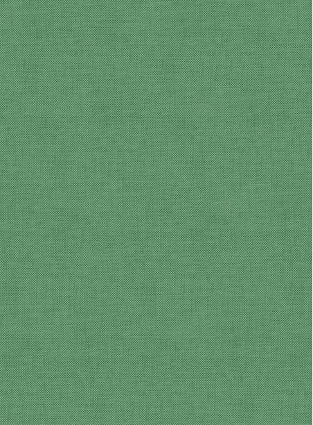 Papel de parede linho verde 065