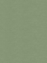 Papel-de-parede-linho-verde-578