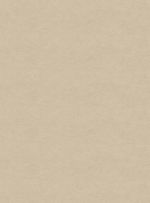 Papel-de-parede-linho-bege-731