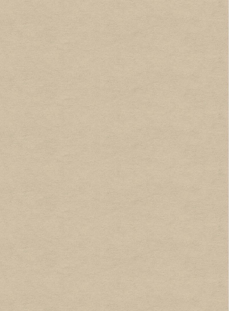 Papel-de-parede-linho-bege-731