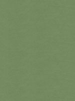 Papel-de-parede-linho-verde-579