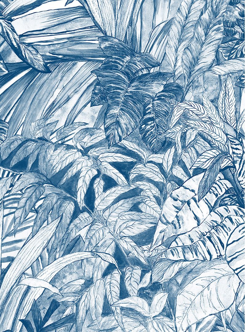 Papel-de-parede-mata-atlantica-azul