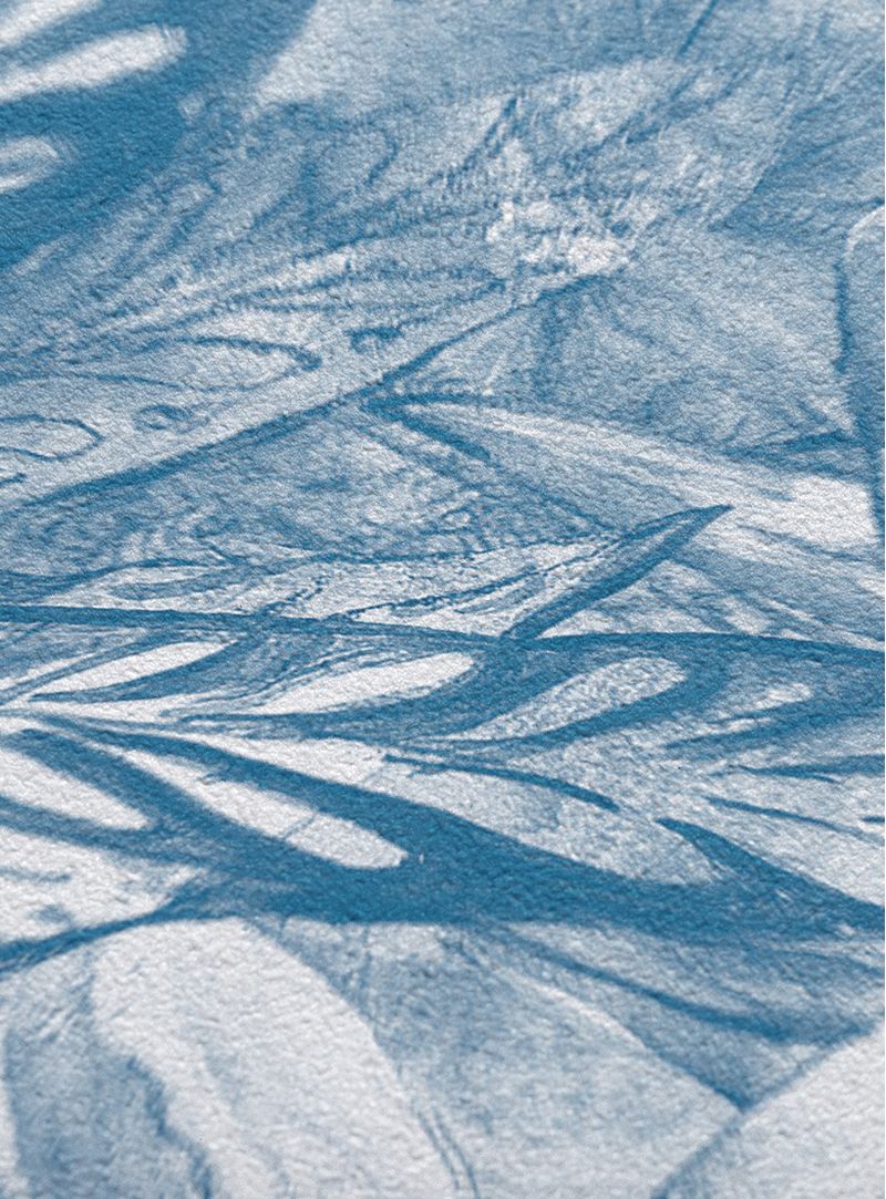 Papel-de-parede-mata-atlantica-azul