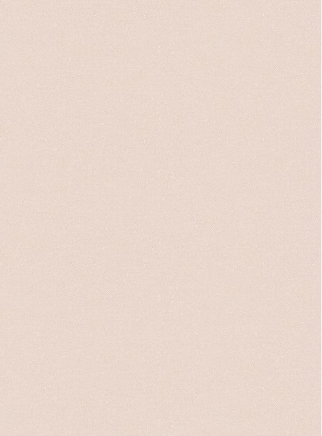 Papel de parede recife rosa 03