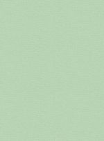Papel-de-parede-recife-verde-700