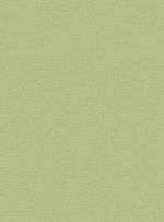 Papel-de-parede-recife-verde-697