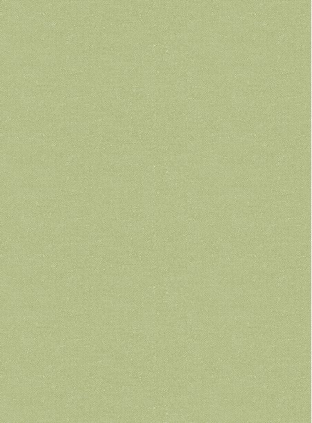 Papel de parede recife verde 697