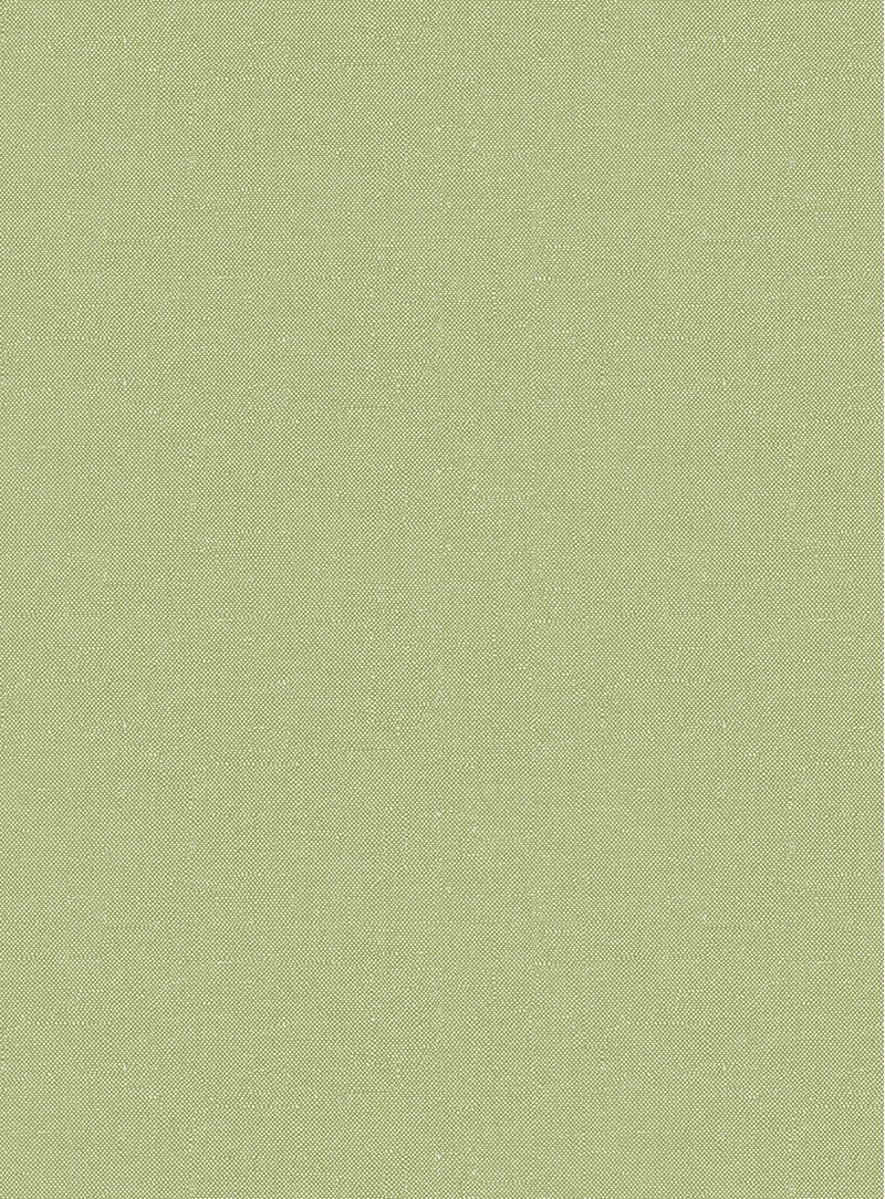 Papel-de-parede-recife-verde-697
