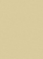 Papel-de-parede-recife-amarelo-708