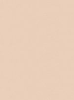 Papel-de-parede-seda-bege-745