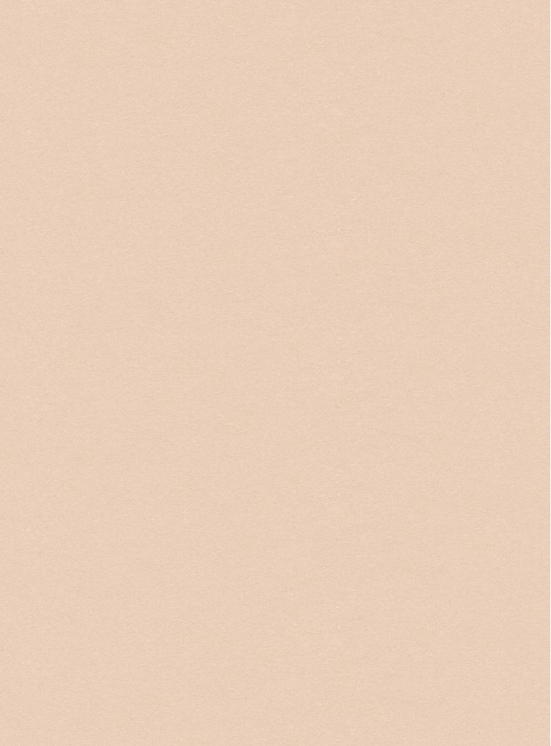 Papel-de-parede-seda-bege-745