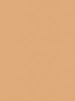 Papel-de-parede-seda-laranja-747