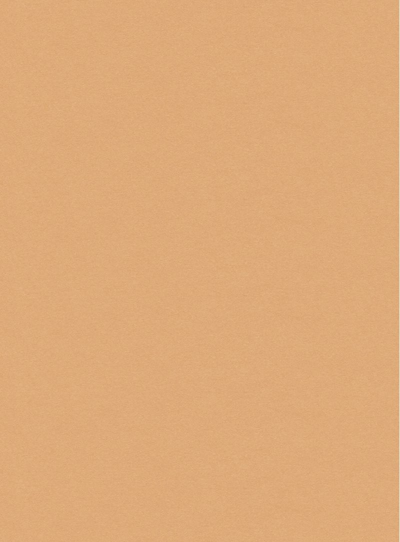 Papel-de-parede-seda-laranja-747