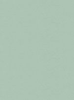Papel-de-parede-seda-verde-738