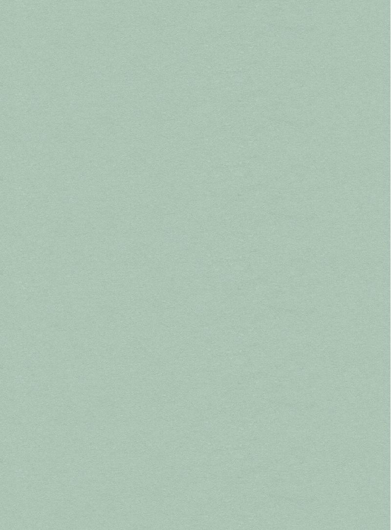 Papel-de-parede-seda-verde-738