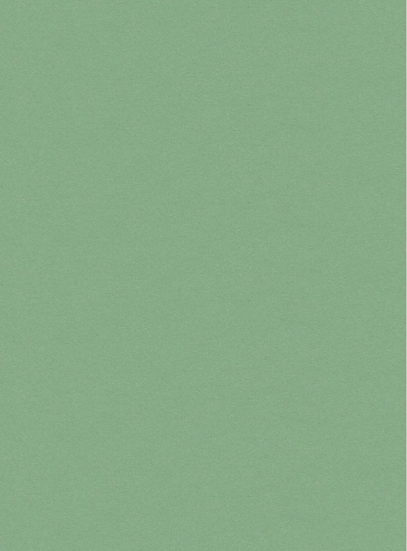 Papel-de-parede-seda-verde-740