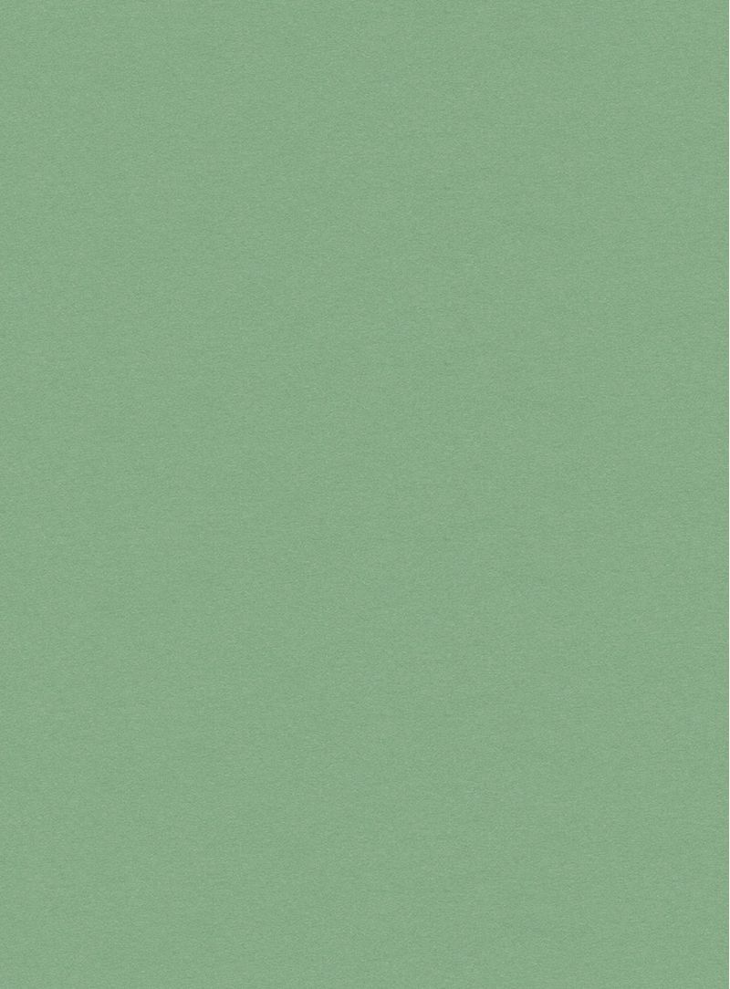 Papel-de-parede-seda-verde-740