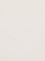 Tecido-liso-thayna-branco-001