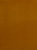 Tecido-liso-wanda-ocre