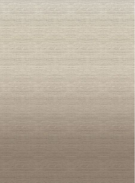 Papel de parede degradê palha bege 695