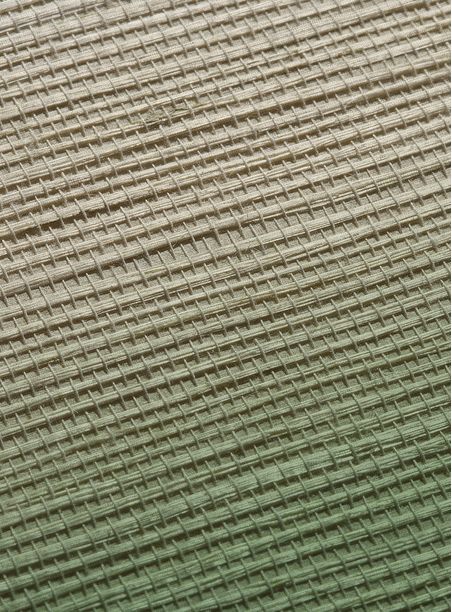 Papel de parede degradê palha verde 124