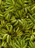 papel-de-parede-cachos-de-banana-verde