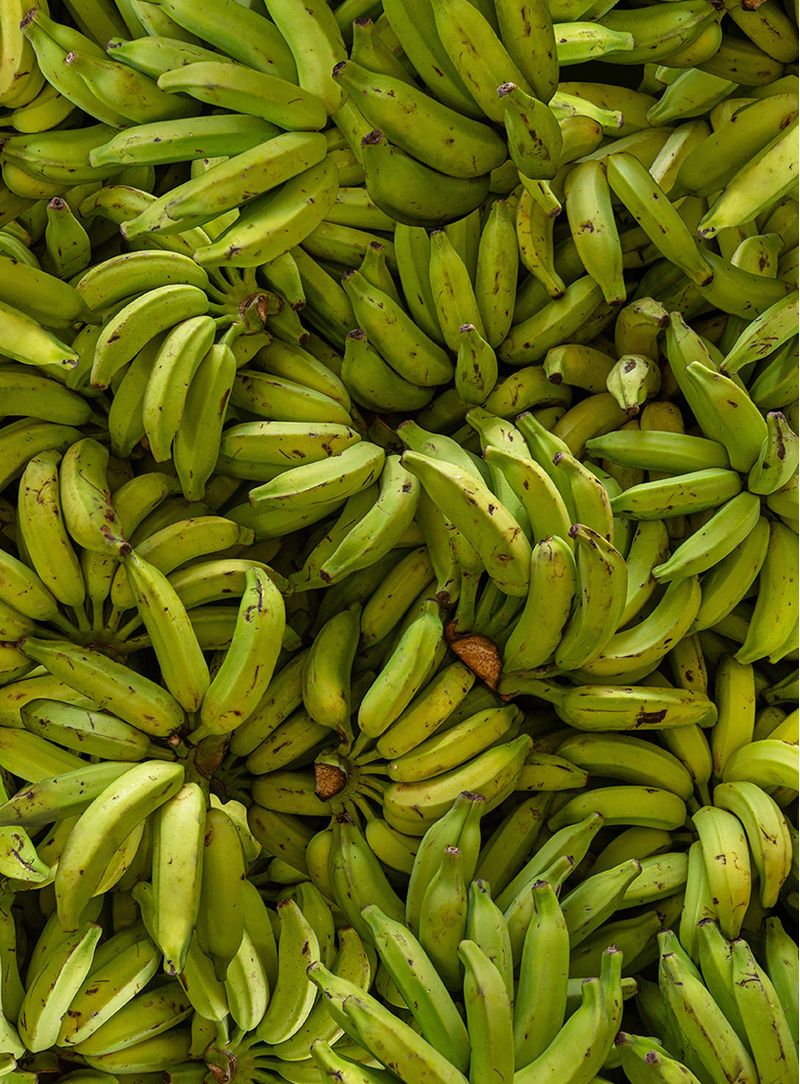 papel-de-parede-cachos-de-banana-verde