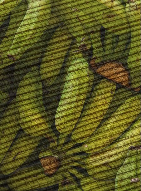 papel de parede cachos de banana verde