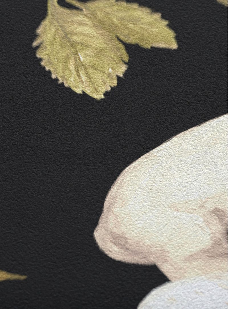 Papel-de-parede-botanico-fundo-preto