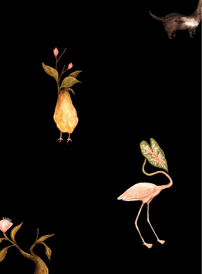 Papel-de-parede-botanico-fundo-preto