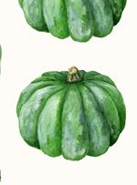 papel-de-parede-zapallo-verde