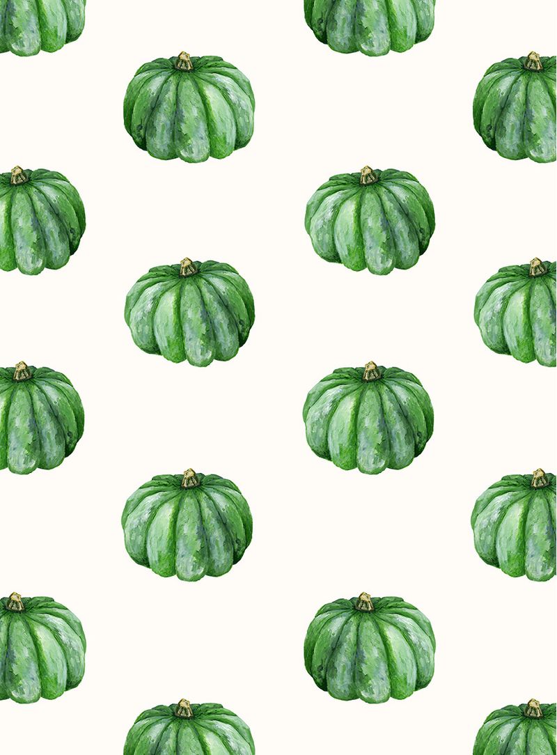 papel-de-parede-zapallo-pequeño-verde