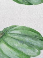 papel-de-parede-zapallo-pequeño-verde
