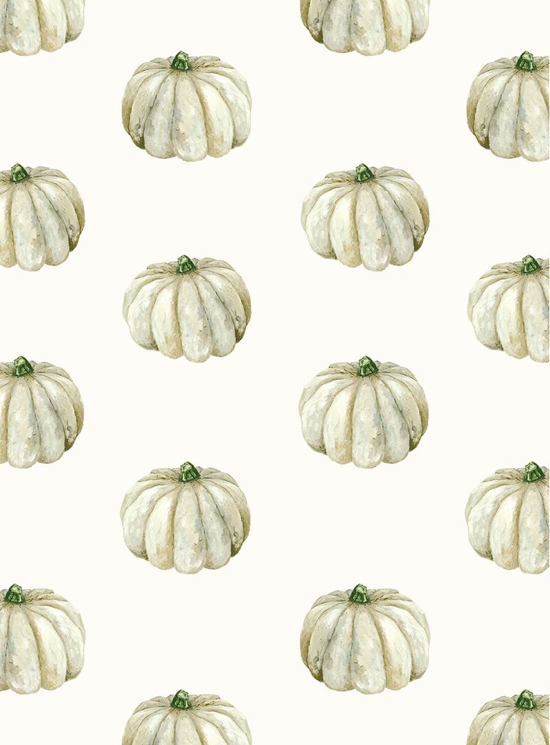 papel-de-parede-zapallo-pequeño-cinza