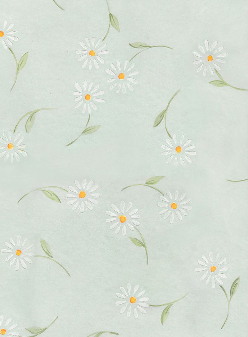 papel-de-parede-margaridas-verde