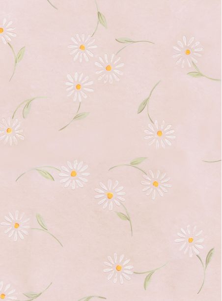papel de parede margaridas rosa
