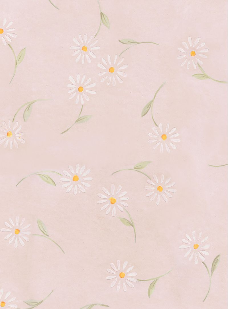 papel-de-parede-margaridas-rosa